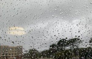 93B47E5A-B485-44BB-B35E-0B623809B8AF